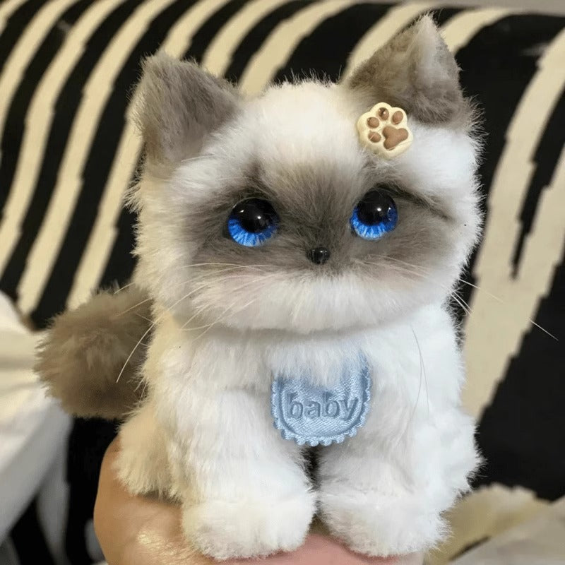 Pipe Cleaner Material Kit for cats & dogs - Accessories and Tutorial Included
